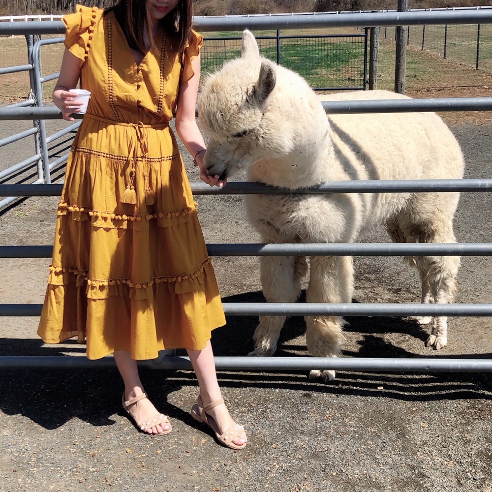 J.Crew Mustard Pompom Midi Dress